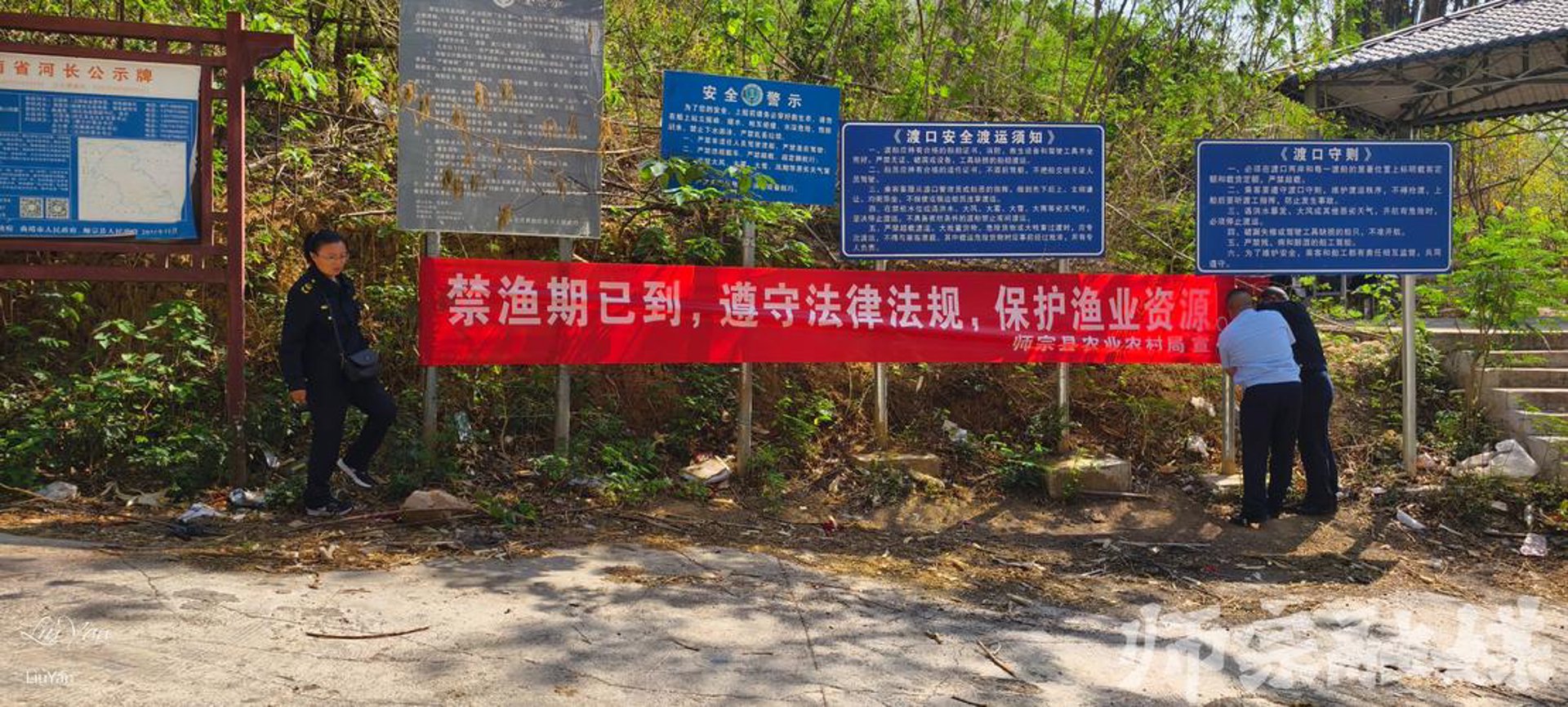 红山茶叶网